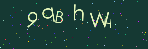 Validation image